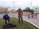 В "Кошелев-проекте" за год посадили 230 деревьев