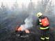 В Тольятти тушат лесной пожар