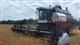 Хлеборобы Саратовской области намолотили более 500 тыс. тонн зерна нового урожая