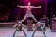 Международный фестиваль циркового искусства в Ижевске может оказаться под угрозой