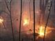 Под Самарой и в Тольятти тушат два крупных лесных пожара