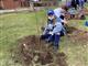 Работники АО "Транснефть - Приволга" провели субботники и высадили деревья