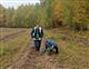 Нижегородская область вошла в топ-5 лидеров экочеленджа в поддержку акции "Сохраним лес"