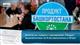Количество товаров с маркировкой "Продукт Башкортостана" за 13 лет увеличилось в 30 раз