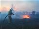 Полицейские начали проверку из-за пожара в тольяттинском лесу