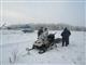 В Похвистневском районе два браконьера на снегоходе задавили кабана