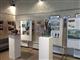 В Самаре подвели итоги конкурса на изготовление памятника Павлу Мочалову