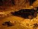Два человека пострадали в съехавшем с дороги BMW в Тольятти