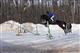 На конных соревнованиях в Самаре наездники преодолевали препятствия вместо лошадей