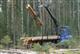 Китайцы намерены заняться глубокой переработкой древесины в Кировской области