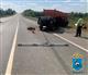 В Похвистневском районе КамАЗ сбил "Ниву", пострадали четыре женщины