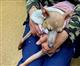 Тольяттинке вернули собаку, за которой она ухаживала четыре года