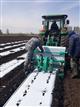 В Садах ЯФО в Сергиевском районе началась закладка новой крупной плантации садовой земляники