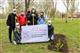 Корпоративные волонтеры высадили молодые березы в самарском Парке Победы