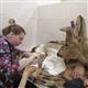 В Ставропольском районе после зимнего ДТП продолжают лечить косулю