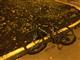 В Самарском дворе под колесами Lexus пострадал юный велосипедист