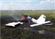 Причиной крушения самолета "Элитар-202" могла быть неправильная установка лопастей