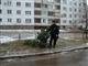 В Новокуйбышевске местный житель спилил елку около соседнего дома