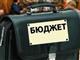Общественники Тольятти предложили разделить публичные слушания по бюджету на два этапа