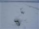 Сотрудники ПСС эвакуировали замерзавшего на волжском льду у Октябрьска мужчину