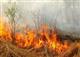 За сутки в области зафиксировано два лесных пожара