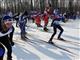 В Самаре на лыжных гонках от "Волжской коммуны" наградят призами более 90 человек
