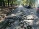 Тольяттинская прокуратура требует отремонтировать разбитые дороги