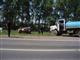 На дороге Самара - Бугуруслан при столкновении Audi и ЗИЛа погибли два человека