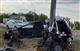 На трассе М-5 в Сызранском районе погиб водитель врезавшейся в столб легковушки