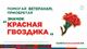 Жители Самарской области могут помочь ветеранам, присоединившись к акции "Красная гвоздика"
