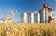 В Саратовской области появится завод по глубокой переработке зерна 