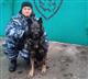 В Тольятти служебная собака нашла наркотики у матери двоих детей