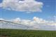 Предприятиям АПК Самарской области компенсируют затраты на ввод в эксплуатацию орошаемых земель