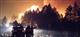В Саратовской области тушат шесть лесных пожаров