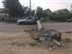 В Самаре водитель грузовика сбил два столба, один из которых упал на легковушку