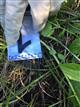 В Тольятти в сквере произошло убийство