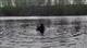 Под Тольятти в озере утонул мужчина