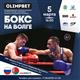 В Самаре пройдет международная матчевая встреча по боксу между командами России и Беларуси