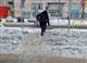 Из-за смерти пожилого тольяттинца, упавшего на льду, возбудили уголовное дело