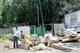 В Самаре создана служба по уборке мусора 