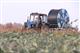 Глеб Никитин: "Нижегородская область рассчитывает в 2021 г. привлечь на развитие фермерства в рамках нацпроекта в два раза больше федеральных субсидий"