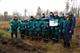 Сотрудники "Тольяттикаучука" высадили 5 тысяч саженцев деревьев в тольяттинском лесу