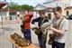 В Кинельском районе проходят двухдневные военно-полевые сборы для старшеклассников Самары