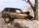 В Самарской области автомобилистка на Chevrolet Niva при обгоне врезалась в дерево