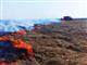 За пять дней в Самарской области произошло 128 пожаров из-за сжигания сухой травы