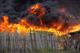 Причиной крупного пожара на дачах под Самарой могло быть неосторожное обращение с огнем