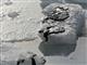 В Сызранском районе на льду реки Крымза обнаружены следы нефтепродуктов