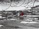 Спасен ребенок, унесенный на льдине на Волге у Жигулевска
