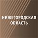 В Нижегородской области появится заместитель председателя правительства региона, курирующий вопросы СВО