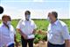 Губернатор Валерий Радаев посетил ряд сельхозпредприятий Энгельсского района